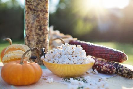 Popcorns in  a Bowl