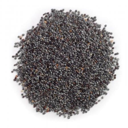 Poppy Seed