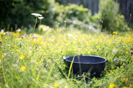 Pot in the Garden