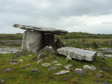 Poulnabrone Pasture