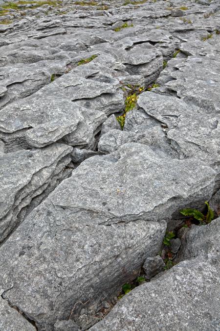 Poulnabrone Stone Texture - HDR