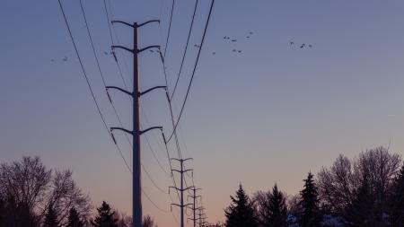 winter power lines