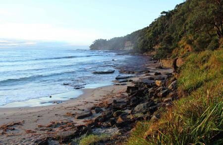 Pretty Beach