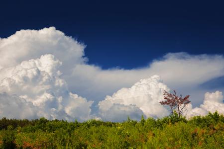 psychedelic nature scene