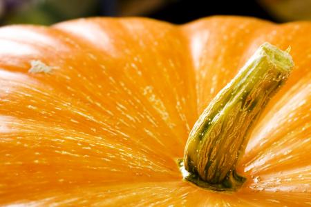 Pumpkin