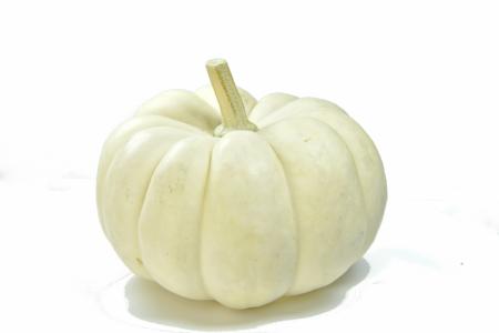 Pumpkin on white