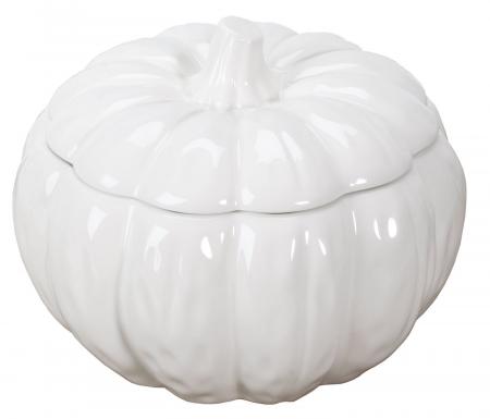 Pumpkin on white