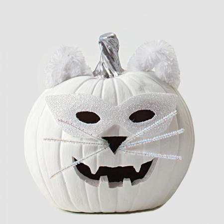 Pumpkin on white
