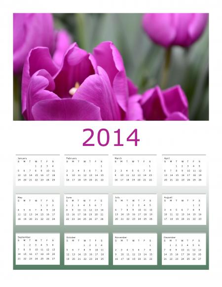 Purple Tulips 2014 Calendar