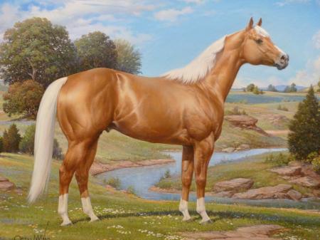 Quarter Horse