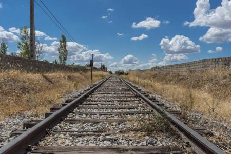 Railroad Track Amidst Trees Against Sky