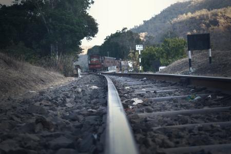 Railroad Tracks Amidst Trees Against Sky