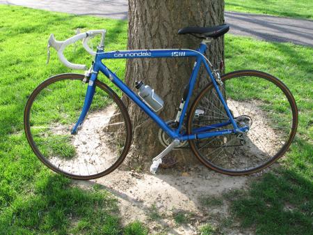 Raleigh Lightweight Trilite