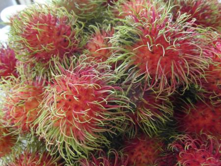 Rambutan Fruits