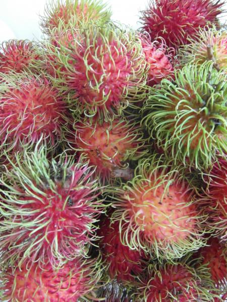 Rambutan Fruits