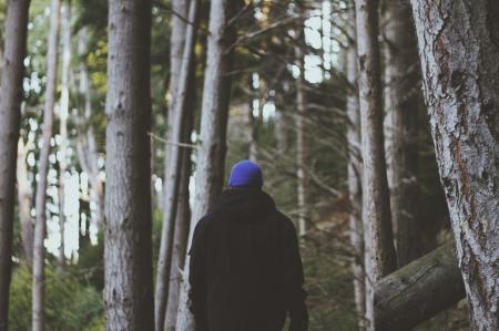 Rear View of Man in Forest