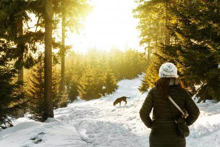 Rear View of Woman in Snow Covered Forest