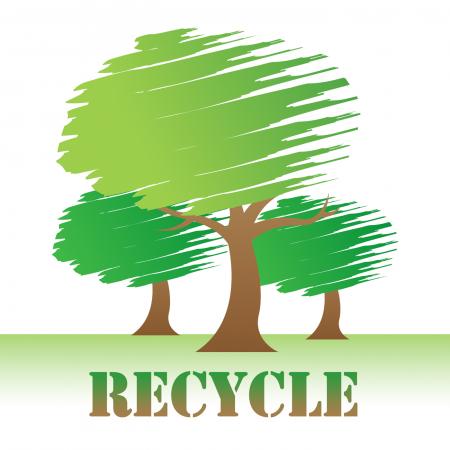 Recycle Trees Shows Earth Friendly And Reuse