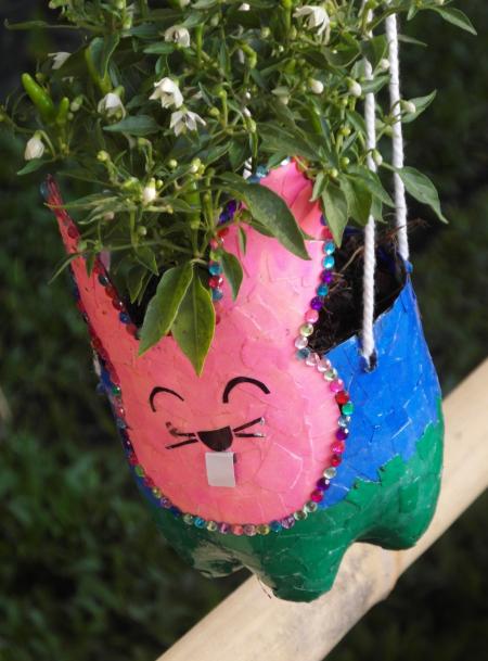Recycled Bottles Craft Plant Pot