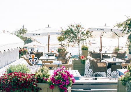 Red and Pink Petaled Flowers and Patio Set