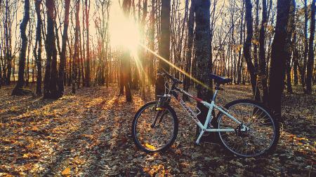 Red and White Hardtail Bike