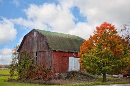 Red Barn