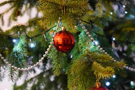 Red Baubels Hang on the Christmas Tree