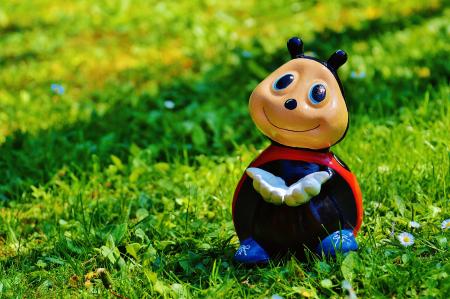Red Black and White Bug Toy on Grass