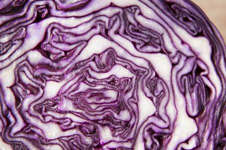 Red Cabbage