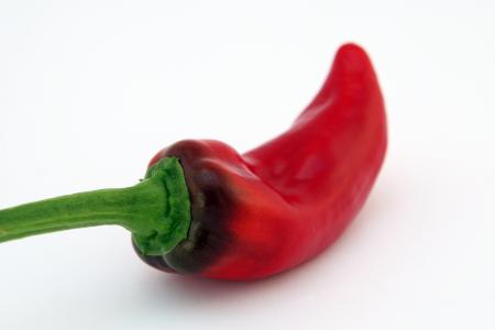 Red Chili