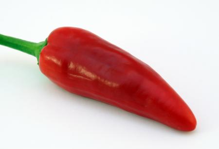 Red Chili