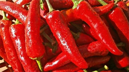 Red Chili