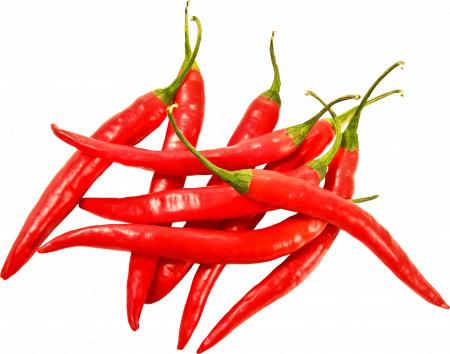 Red chilli pepper