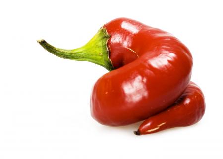 red chilli pepper