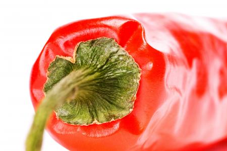 Red chilli pepper