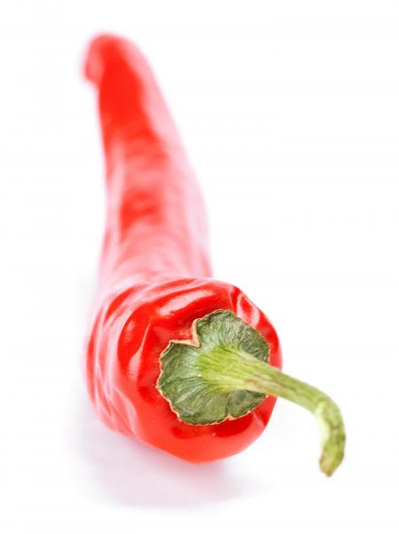 Red chilli pepper