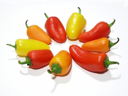 Red chilli pepper