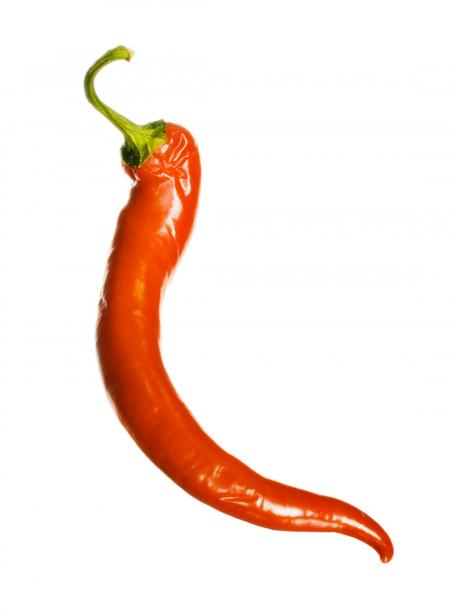 Red chilli pepper
