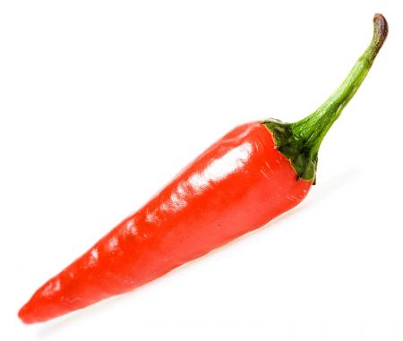 Red chilli pepper