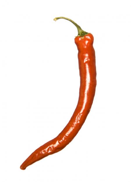 red chilli pepper