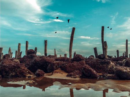 Red Corral Reef Under Cloudy Blue Sky