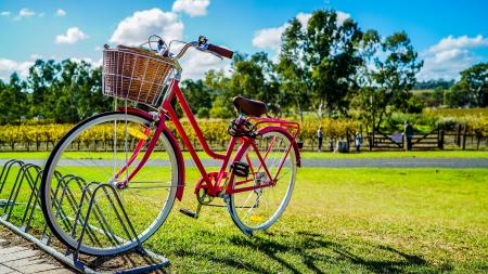 Red Cruiser Bike Parked On Metal Bike Stand