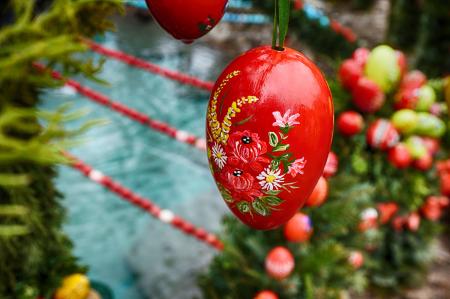 Red Fruits Decor