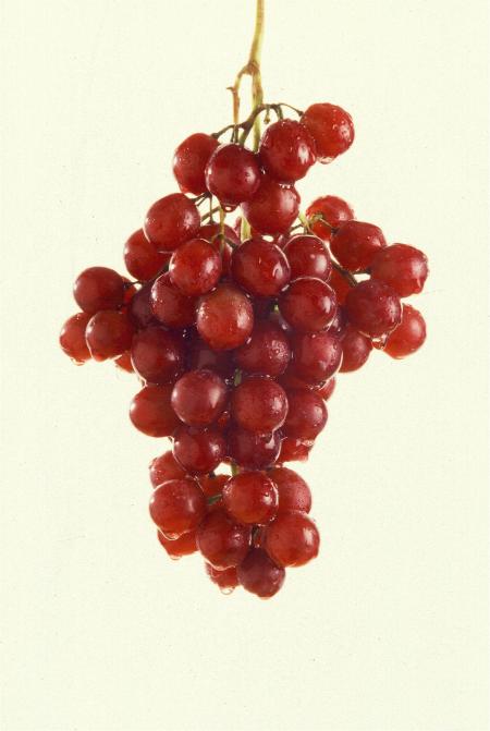 Red Grapes