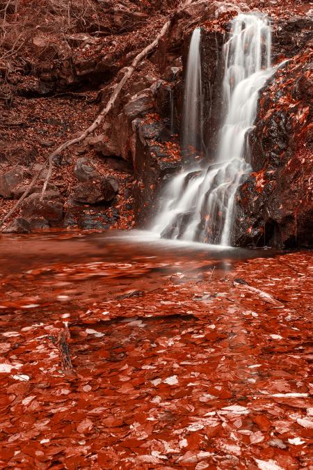 Red Grove Waterfall