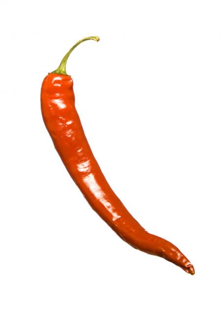 Red hot chilli pepper