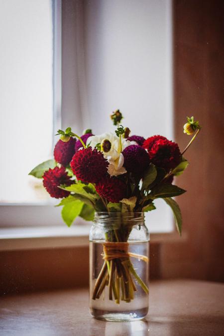 Red Petal Flower on Clear Glass Vase