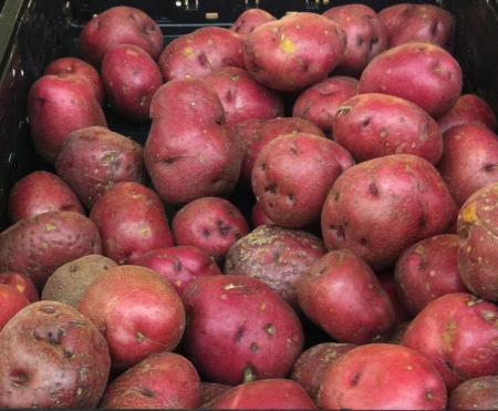 Red Potatoes
