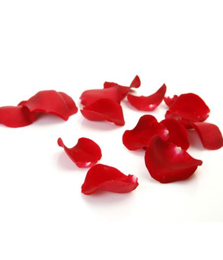 rose petals