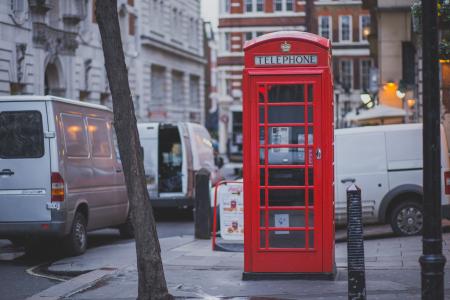 Red Telephone Shop Beside Brown Tree